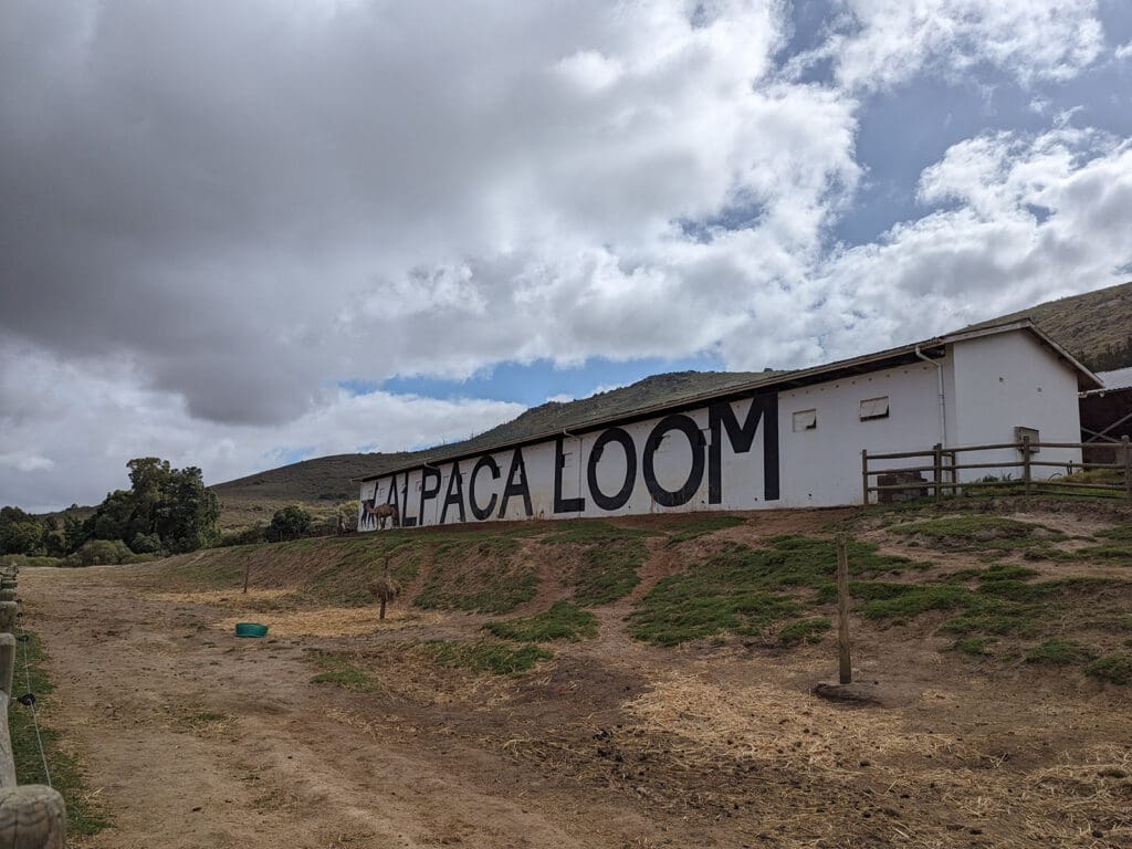 Photos of the Alpaca Loom, Giraffe House and Cheetah experience in South Africa.